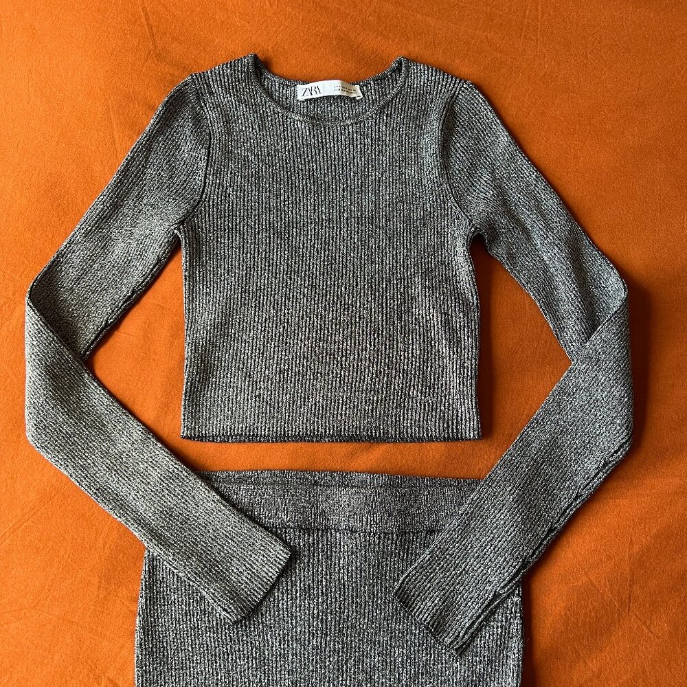 Two-Piece Set (Long Sleeve Cropped Top and Skirt) - ZARA - Small